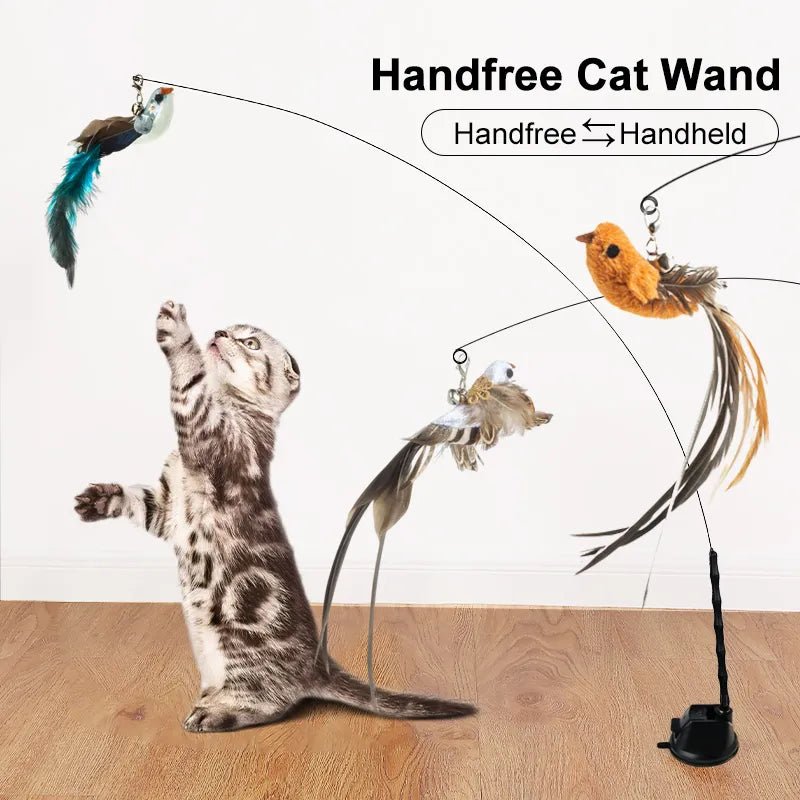 Entertain Your Cat All Day Long with the LOHUAHUA Interactive Feather Wand! - Furrytool - Entertain Your Cat All Day Long with the LOHUAHUA Interactive Feather Wand!
