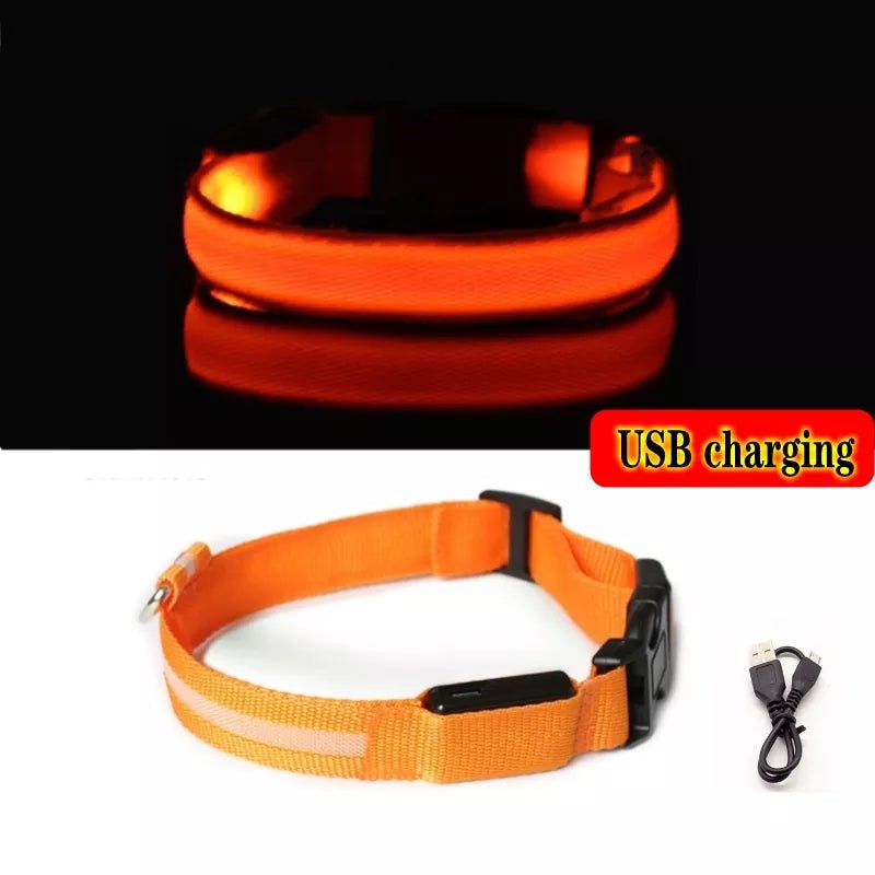 Orange collar with charger