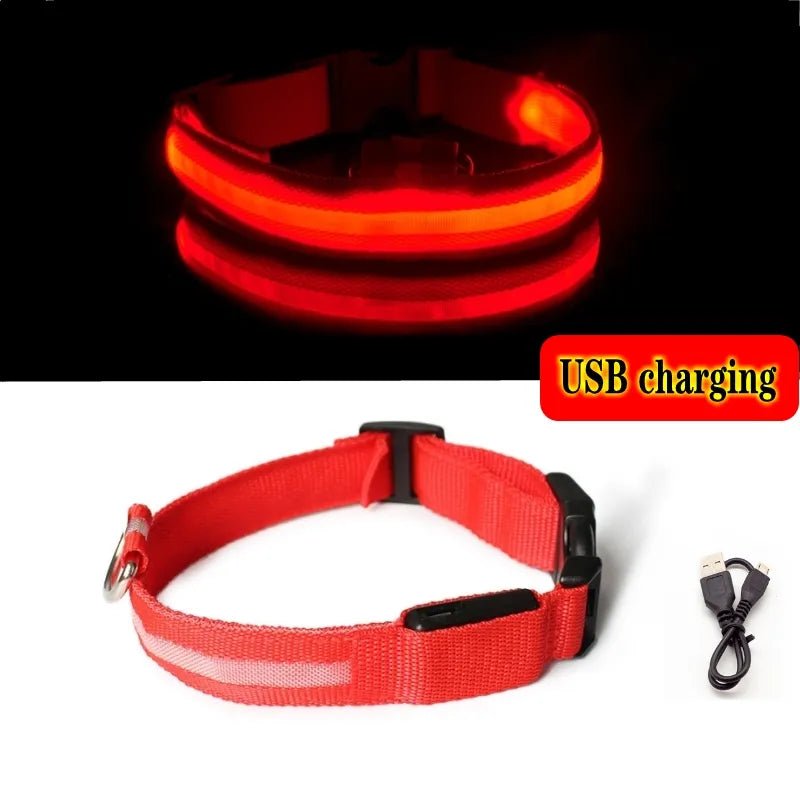 Red collar with charger