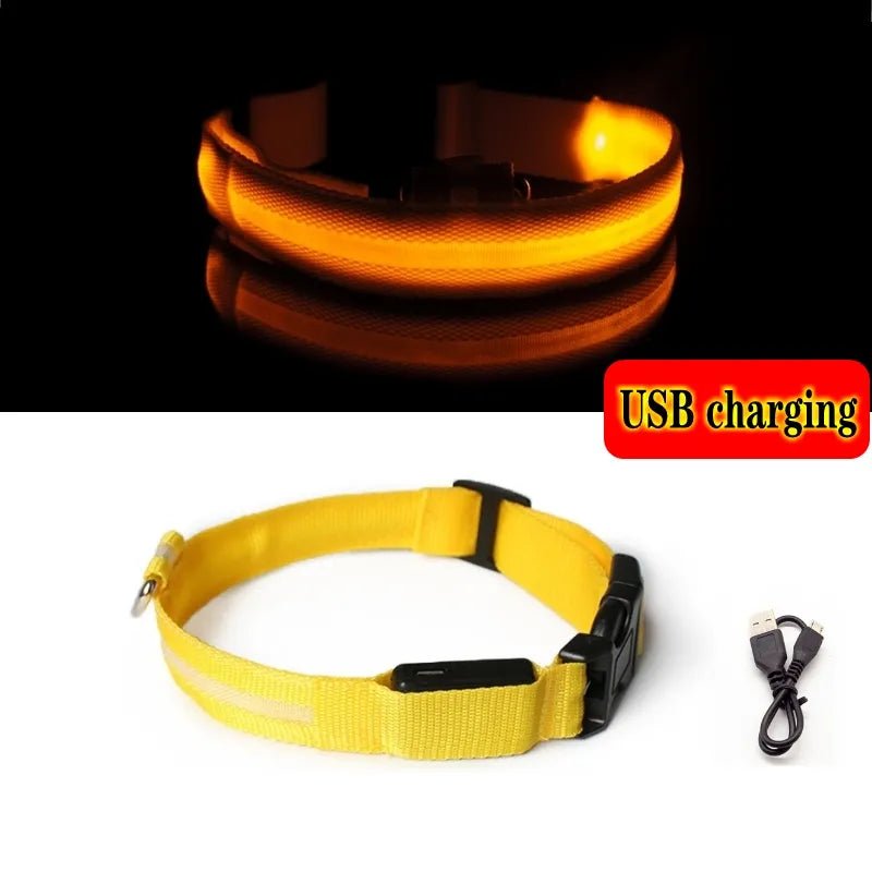 Yellow collar with charger