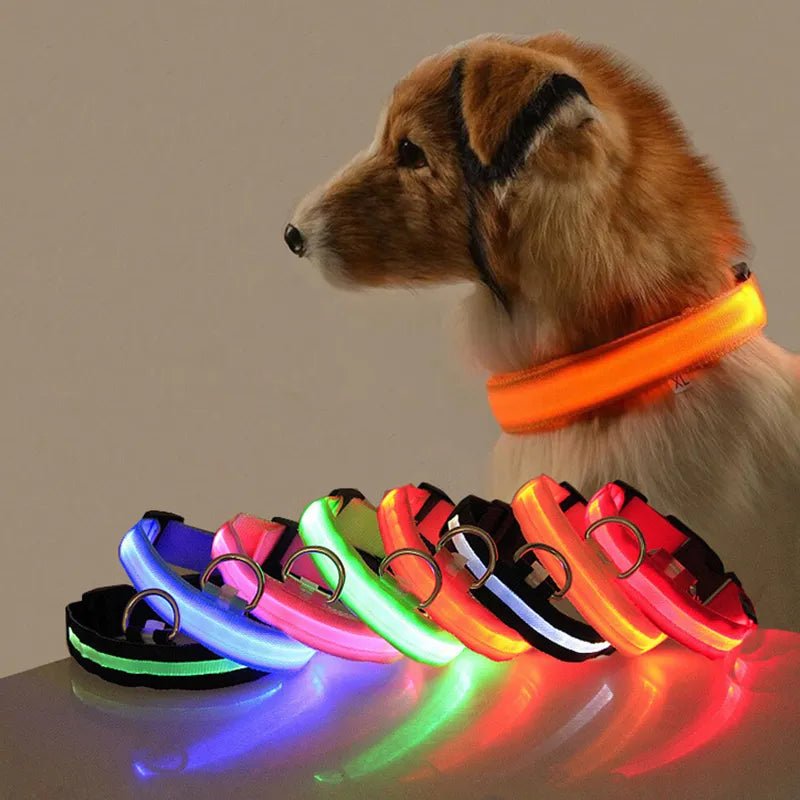 Keep Your Furry Friend Visible in the Dark with the LED Dog Collar Light - Furrytool