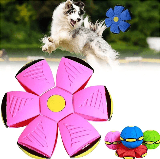 Whiz-Ball: The Flying Saucer Toy That'll Have Your Dog Whizzing with Excitement - Furrytool